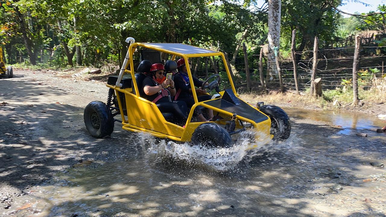 Buggies and ATV