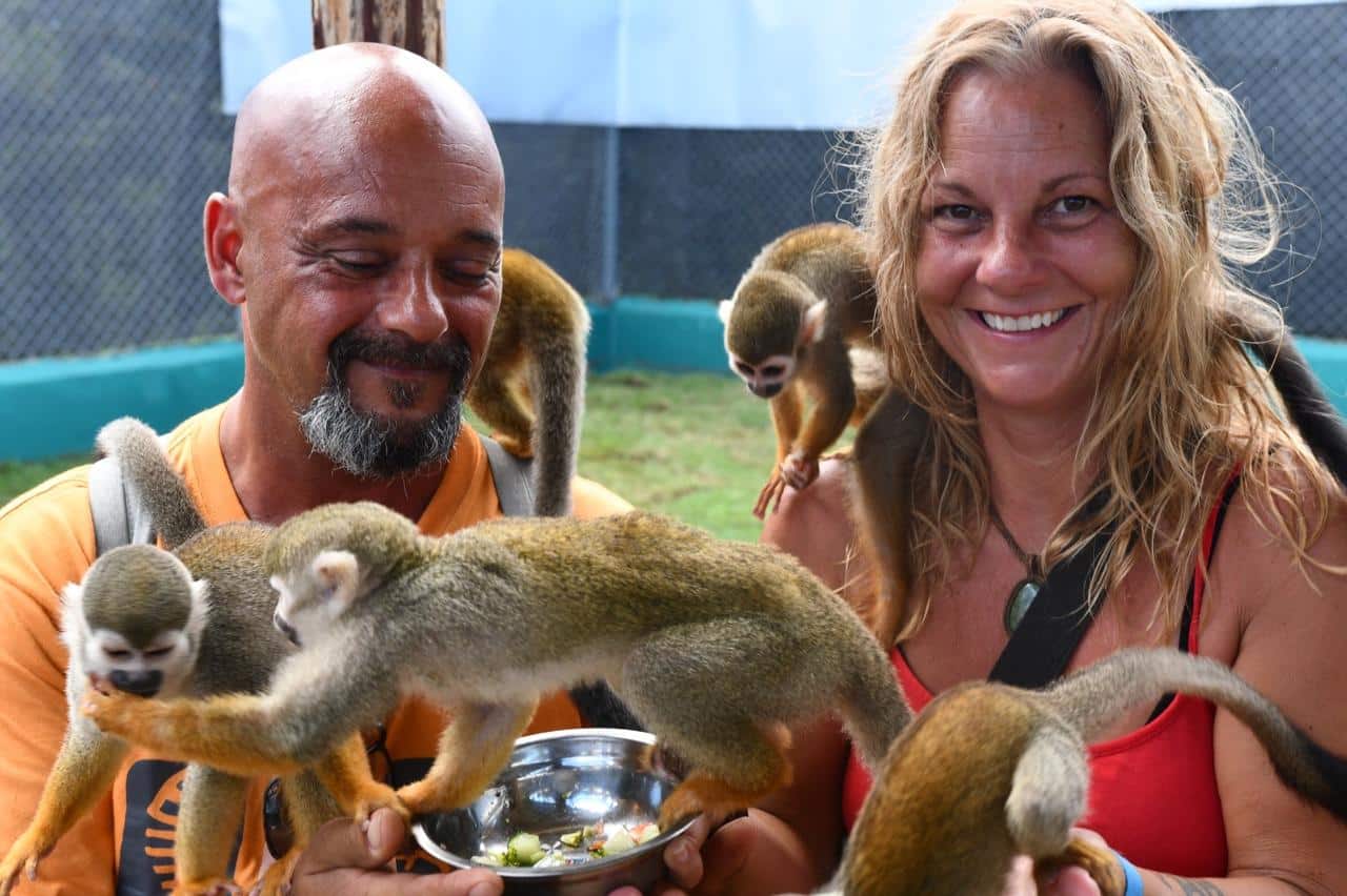 Monkey Land with Zip Line